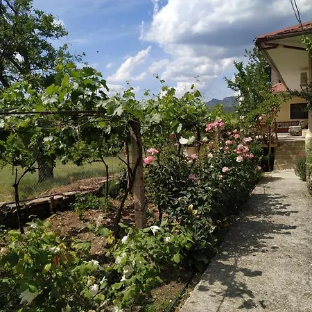 Bujtina Polimen Guest house Permet