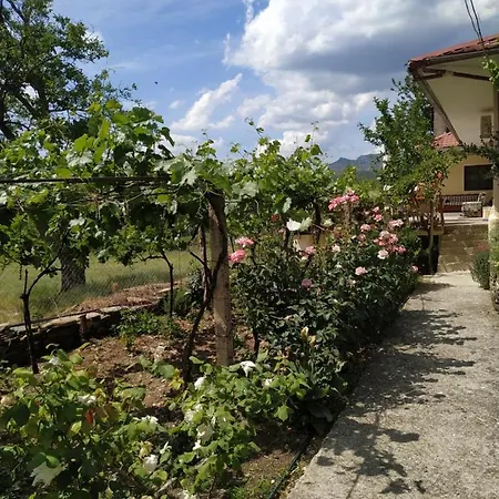 Bujtina Polimen بيت ضيافة Përmet