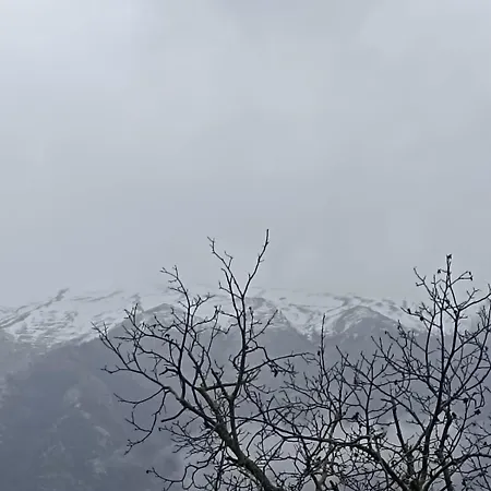 Bujtina Polimen Permet
