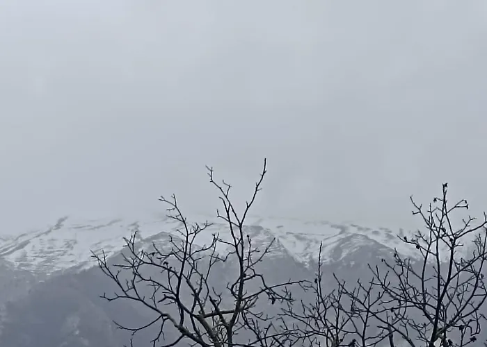 Bujtina Polimen Permet